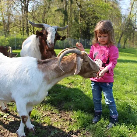 Doellelhof Apartment *