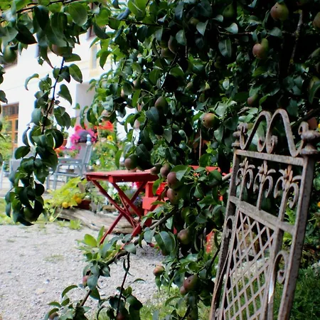 Doellelhof Apartment