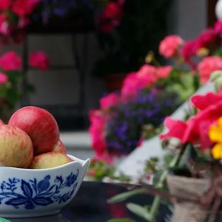 Apartament Doellelhof