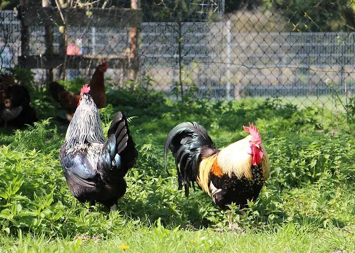 Doellelhof Апартаменты *