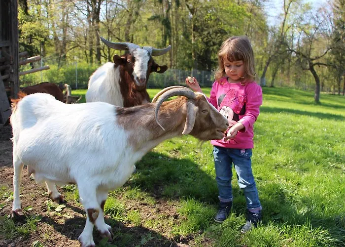 Doellelhof Апартаменты *