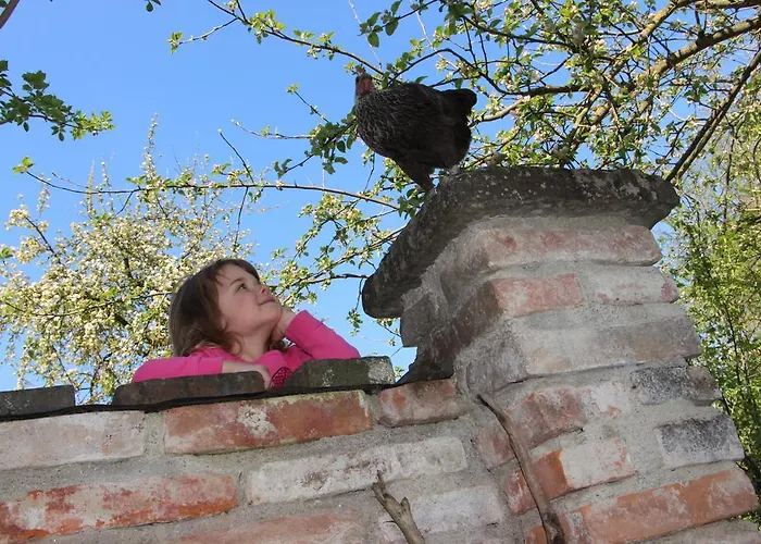 Апартаменты Doellelhof *