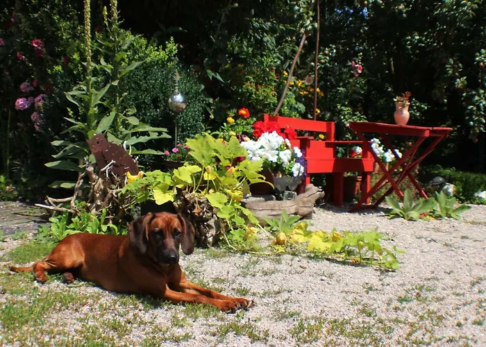 Апартаменты Doellelhof *