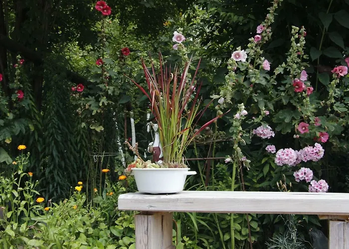 Апартаменты Doellelhof